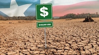 Rematan pedacitos de Texas por 100 mil pesos