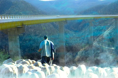 ¿Se aparece el chamuco? Esta es la historia ‘maldita’ del Puente Calapa, en la carretera Cuacnopalan-Oaxaca