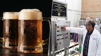 ¿De plátano o de camote? UNAM experimenta con cervezas nutritivas y de sabores extraños