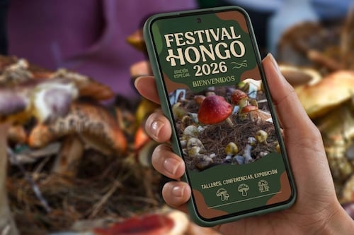 Festival del Hongo 2026: Fecha, sede, conciertos gratis y todo sobre el evento con Grupo Niche