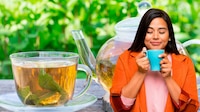 ¿Qué beneficios tiene el té de menta?