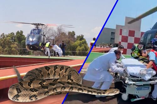 Víbora de cascabel muerde a niña; el reptil se escondía en su ropero