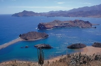 El futuro del océano es colaborativo: la Plataforma del Golfo de California es una vía hacia el éxito