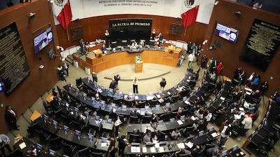 La senadora Guadalupe Chavira aseguró que el ambiente es más democrático desde que se fue Adán Augusto (Foto: GRACIELA LÓPEZ/CUARTOSCURO)