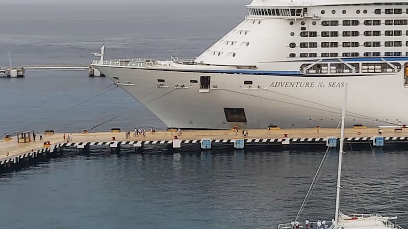 GreenPeace pide no dar permisos a Royal Caribbean en Mahahual: Empresa no estudió manglares