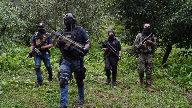 Cártel de Sinaloa opera en Ecuador al menos desde 2021, admite la Sedena