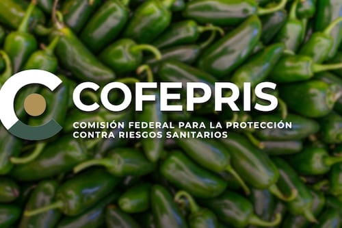 Brote de salmonela en EU: Cofepris investiga planta empacadora de chiles jalapeños en Nuevo León