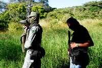 Desapariciones en México: Así es el modus operandi de cárteles para reclutar a jóvenes en Nayarit
