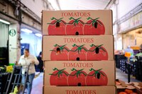 Urge prepararnos para la renegociación del TMEC