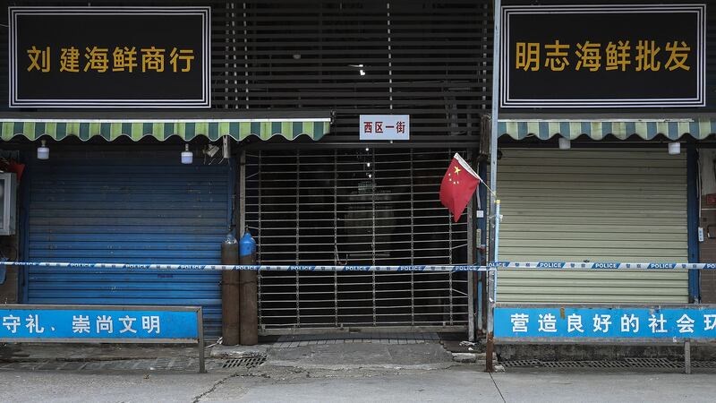 ¿China ‘esfumó’ a su vida silvestre para borrar la huella del origen del COVID?