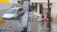 Frente frío 41 deja inundaciones en Tabasco: Un cocodrilo ‘sale a pasear’ en calles de Villahermosa
