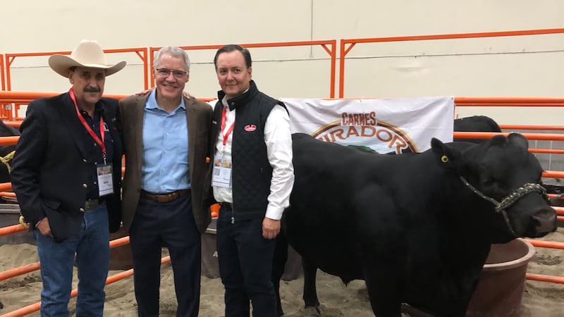 Se abre gran oportunidad en EU para exportar más carne y ganado bovino