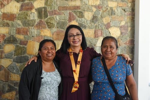 Regresé a Guerrero por las mujeres indígenas y la gente más vulnerable: Esthela Damián