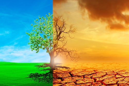 ¿Qué es el efecto invernadero? Causas y consecuencias en el cambio climático