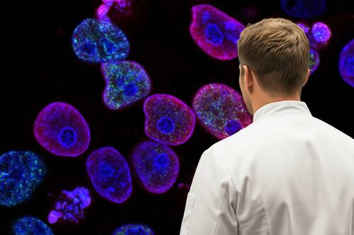 Chef Gordon Ramsay se somete a cirugía por cáncer de piel: ‘No olviden su bloqueador solar’