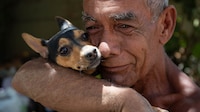 Lomitos de la Sedena rescatan a ‘Sarita’, perrita que sobrevivió bajo los escombros en Venezuela