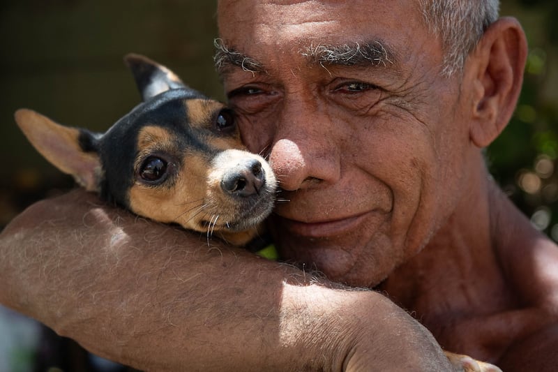Lomitos de la Sedena rescatan a ‘Sarita’, perrita que sobrevivió bajo los escombros en Venezuela