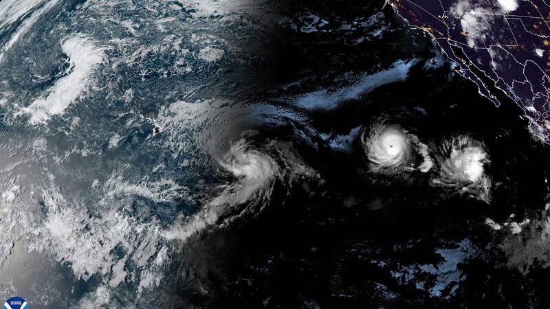 Hawái está en alerta: ¿Por qué una tormenta tropical puede causar incendios forestales en la isla?