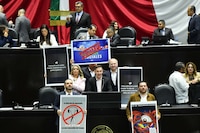 Ley de Telecomunicaciones: Triunfo social