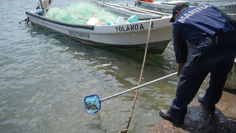 Derrame de hidrocarburos en Golfo: Convocan a ‘Marcha por el Mar’ por contaminación en puerto