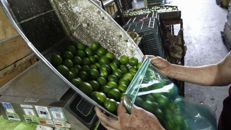Inflación ‘agria’: precio del limón se dispara 46.11% en diciembre