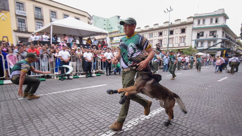 Muerte de Proteo: ¿Cuánto tiempo entrenan a los binomios caninos y qué labores desempeñan?