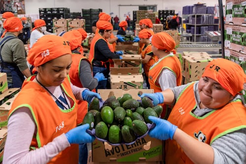 México, ¿el que más necesita el T-MEC? Dependencia de EU y Canadá aumenta en 2025