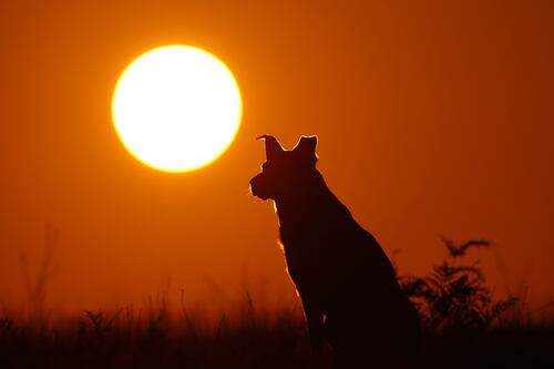 Uno de los 'culpables' de la crisis financiera de 2008 ahora podría salvar el mundo