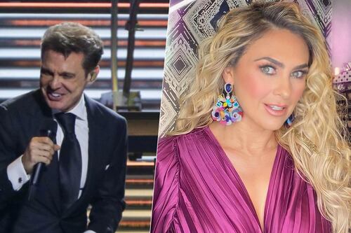 ¿Qué buscaría Luis Miguel sobre la pensión de sus hijos? Abogado de Aracely Arámbula explica