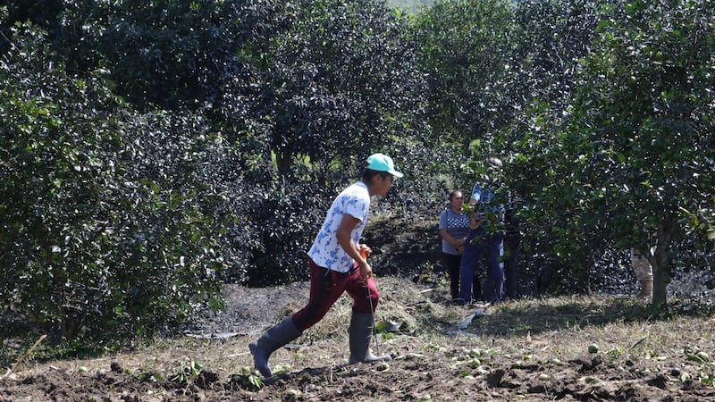 Derrame de hidrocarburos en Veracruz paraliza la cadena productiva de pesca