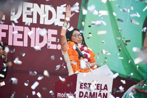 Asamblea por la soberanía en Acapulco fue un éxito, afirma Esthela Damián