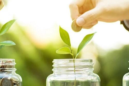 Emisiones de bonos verdes se desploman, pero prevén recuperación con Sheinbaum