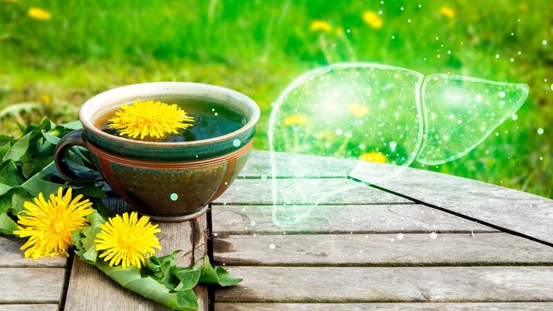 ¿Cuál es el efecto del té de diente de león en el hígado?