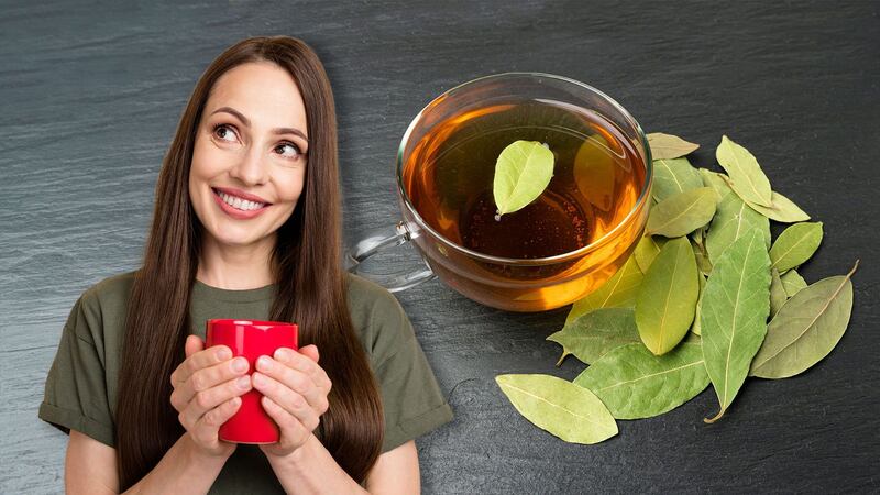 ¿Para qué sirve tomar laurel en la noche?