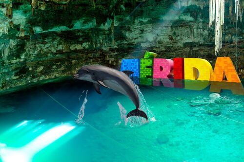 ¿Van a criar ‘delfines’ en Mérida?