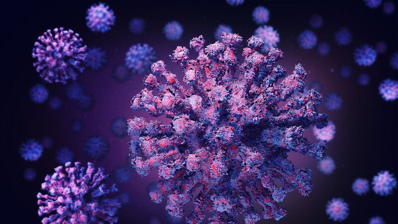 Henipavirus: Esto sabemos de ‘Hendra’, el ‘peligroso’ transmisor del nuevo virus detectado en China