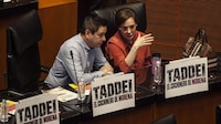 ‘El cochinero de Taddei sí es de Morena’, acusa la oposición en el Senado y oficialismo se deslinda