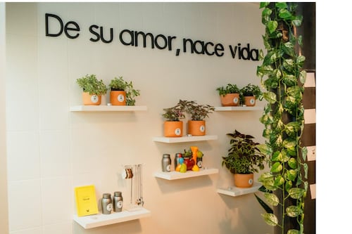 Huellas que Brotan: cuando el amor por las mascotas transforma una industria