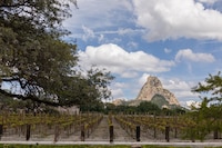 Querétaro, donde el vino se encuentra con la naturaleza y el lujo