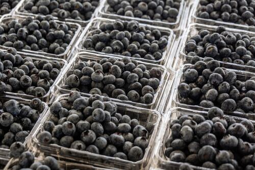 El cultivo de berries y el tipo de cambio