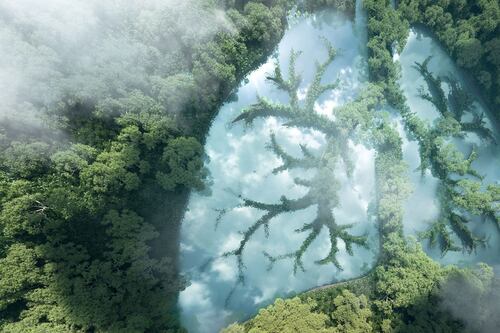 Calentamiento global: ¿cuándo se terminará el oxígeno en el planeta?