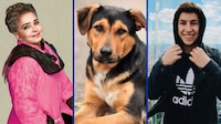 Famosos que reaccionaron al asesinato del perro Benito: De Ana Martin a Juanpa Zurita