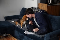 ¿Un perro hipoalergénico? Científicos modifican genéticamente a un beagle para personas alérgicas