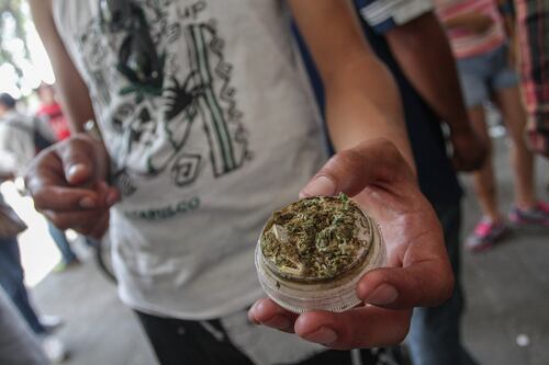 Existe ley para sacar a detenidos por posesión de mariguana