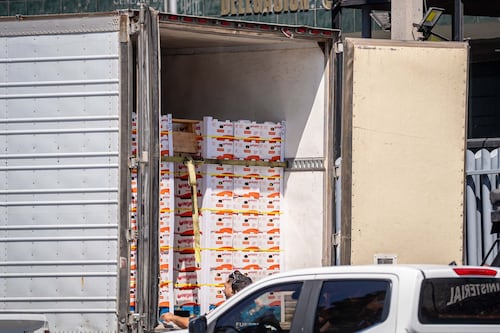 Autotransporte: la infraestructura que sostiene la economía
