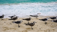 Península de Yucatán se ‘calentará’ este miércoles 1 de julio; prevén calor y cielo nublado