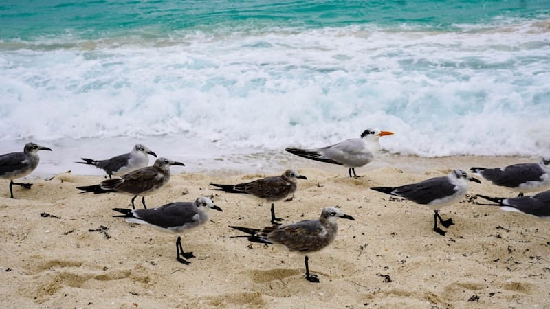 Península de Yucatán se ‘calentará’ este miércoles 1 de julio; prevén calor y cielo nublado