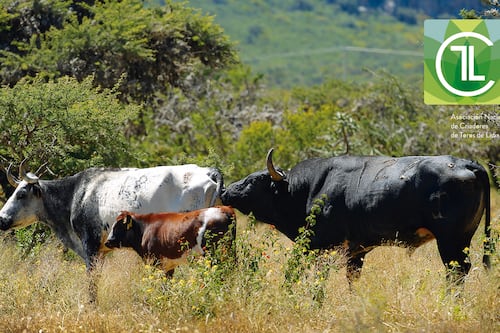 Los verdaderos ecologistas