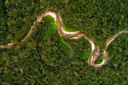 Bioeconomía, una respuesta estratégica frente a la crisis global