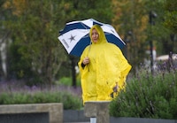Ciclón tropical 22 ‘se aleja’ de México... pero se prevén lluvias en 14 estados hoy 17 de noviembre